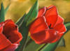 Схема вышивки «Red tulips»