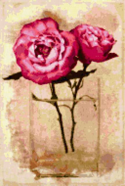 Розы, розовые цветы, роза