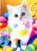 Схема вышивки «Красочный котенок»