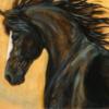 Схема вышивки «Чёрный конь»