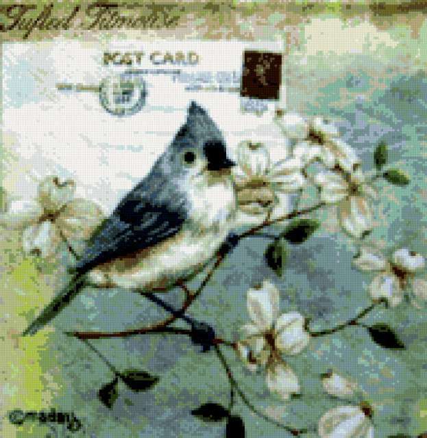 1819894, подушка, птица