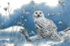 Схема вышивки &laquo;Полярная сова&raquo;