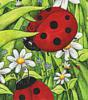 Схема вышивки &laquo;Божьи коровки&raquo;