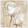 Схема вышивки &laquo;Роза&raquo;