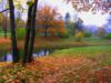 Осень в Павловском парке: оригинал