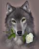Волк с белыми розами: оригинал