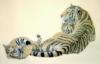 Схема вышивки «Тигр. Живопись Китая»