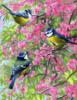 Схема вышивки «Birds & Flowers»