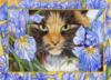Схема вышивки «Кошки и цветы»