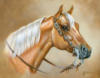 Схема вышивки &laquo;Конь&raquo;