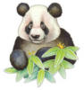 Схема вышивки «Panda»