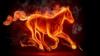 Схема вышивки «Огненный конь»
