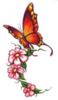 Схема вышивки «Бабочка и цветочек»