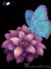 Схема вышивки «Цветок и бабочка»