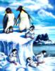 Схема вышивки «Семья пингвинов»