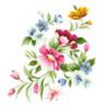 Схема вышивки &laquo;Cvety&raquo;