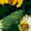 Sunflowers: предпросмотр