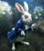Схема вышивки «Следуй за белым кроликом»
