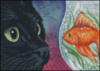 Схема вышивки «Кот и золотая рыбка»