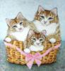 Схема вышивки «Кошки в лукошке»