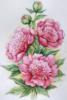 Схема вышивки &laquo;Розовые пионы&raquo;