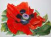 Схема вышивки &laquo;Poppy&raquo;