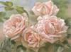 Схема вышивки &laquo;Розы&raquo;