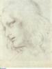 Схема вышивки «Рисунок Леонардо Да Винчи»