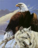 Схема вышивки «Орел и волк»