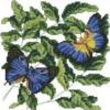 Схема вышивки «Цветы и бабочки»