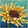 Sunflower: оригинал