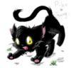 Чёрный котёнок: оригинал