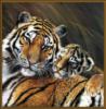 Схема вышивки «Тигрица с тигрёнком»