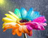 Схема вышивки «Необычный разноцветный цветок))»