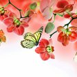 Схема вышивки «бабочки и орхидеи»