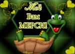 proza